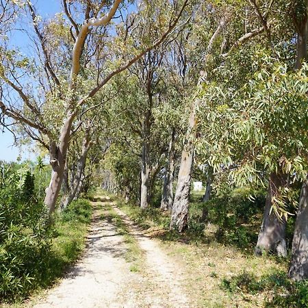 Bivilla Incalzi Villanova di Ostuni Bagian luar foto